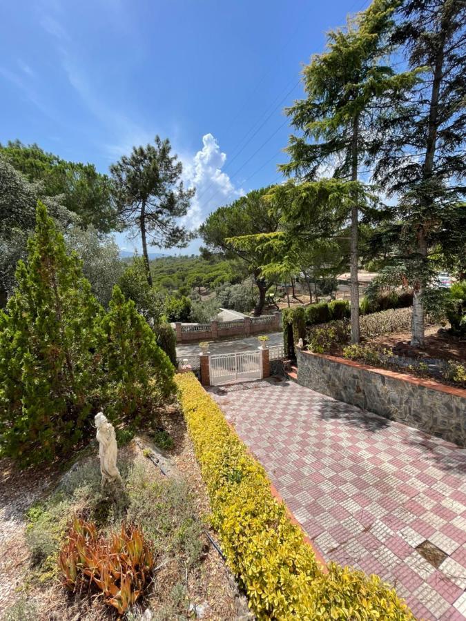Villa Herlinda Costa Brava - With Swiming Pool Massanet De La Selva Exterior foto